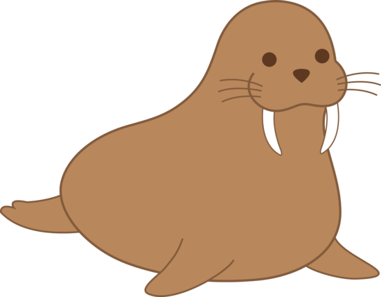Walrus Clipart - Clip Art (550x428)