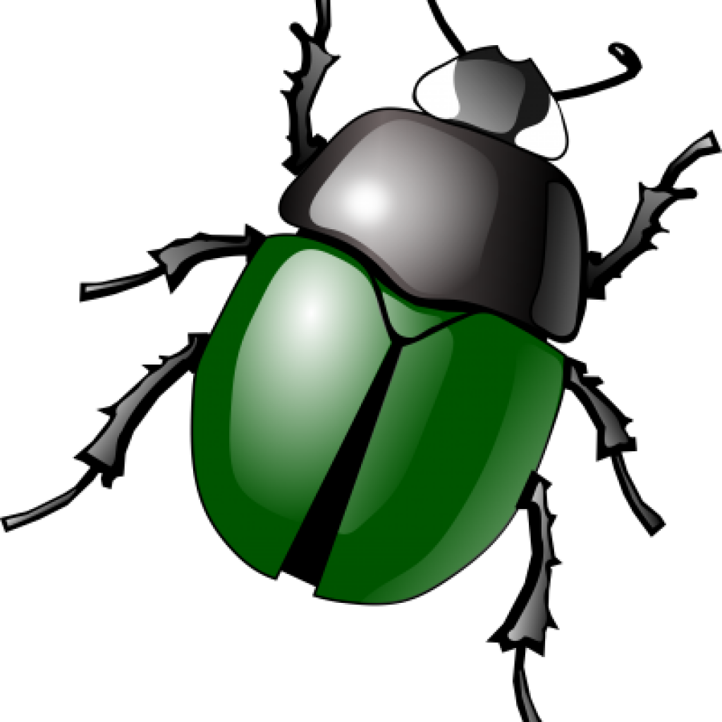 Insect Clipart 19 Insect Clip Art Library Huge Freebie - Beetle Clip Art (1024x1024)