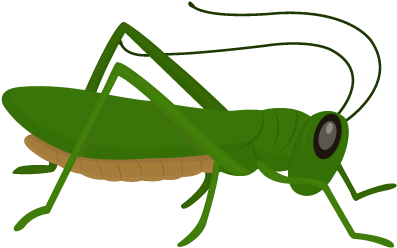 Transparent Stock Grasshopper Clipart Grillo - Grillo Png (400x400)