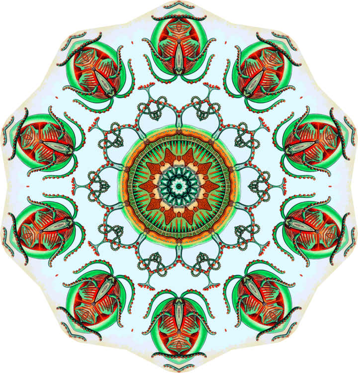 All Photo Png Clipart - Clip Art (720x750)