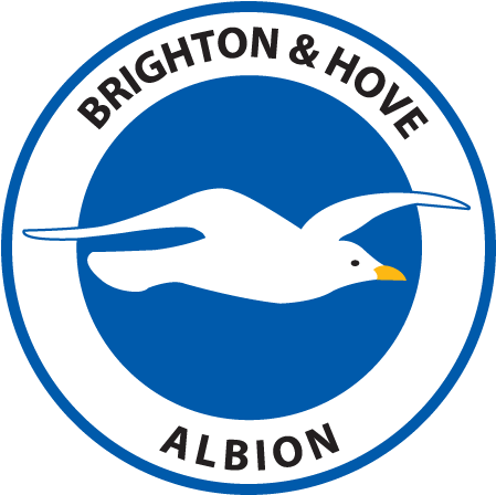 Brighton & Hove Albionbha - Brighton & Hove Albion Logo (500x500)