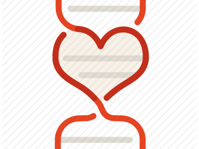 Dna Structure Clipart Genetic Counselor - Dna (640x480)
