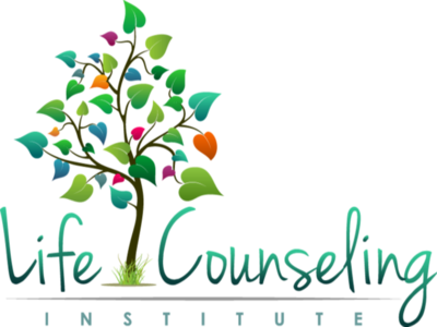 My Practice, Life Counseling Institute, In Willowbrook, - Life Counseling Institute (400x300)