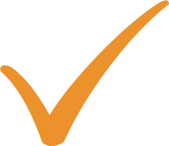 Check Admission Requirements - Orange Check Mark Png (575x500)