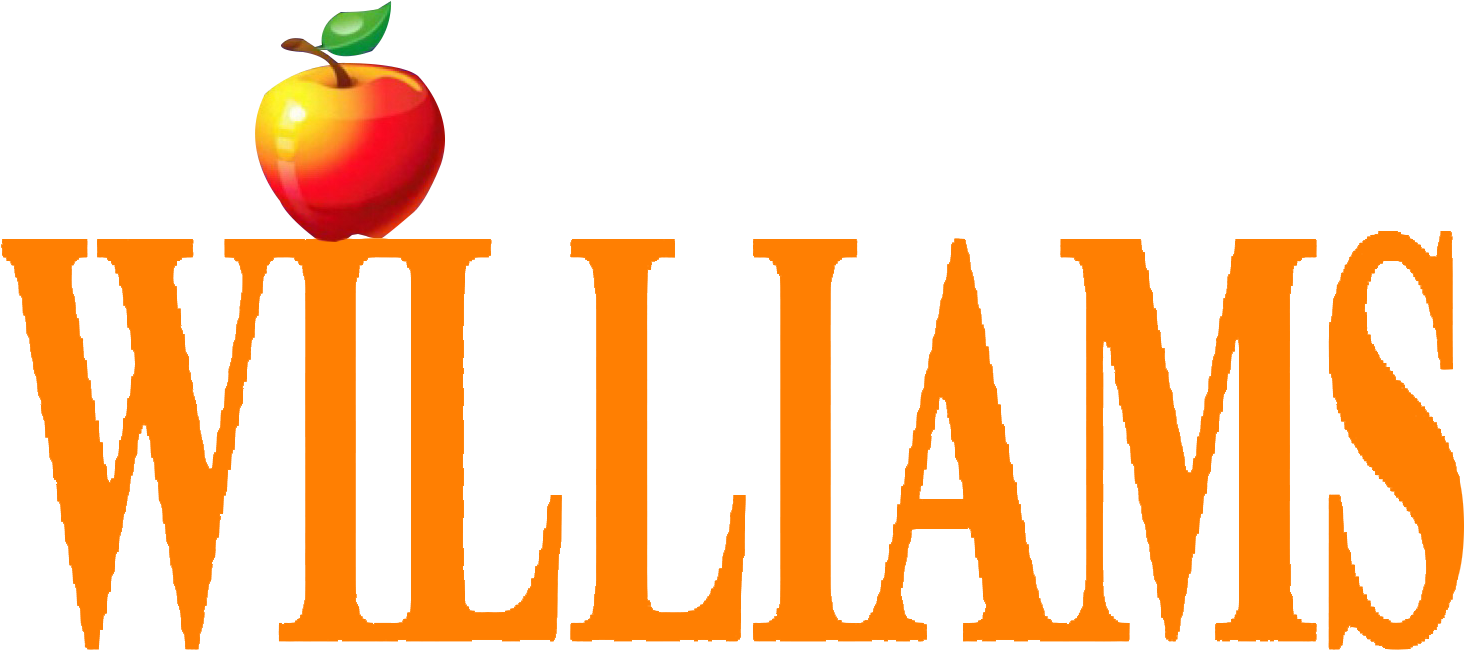 Focus As Board Member - Bowie (1487x667)