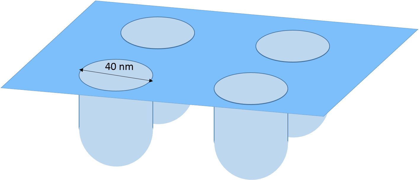 Shows The Cartoon Of The Nanocup In Its Concave Shape - Shows The Cartoon Of The Nanocup In Its Concave Shape (1415x607)