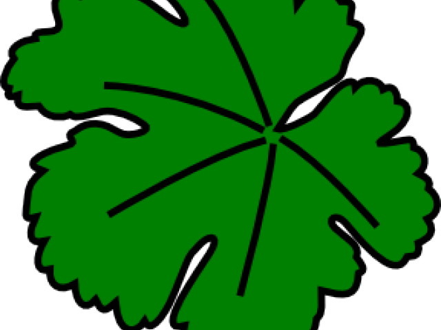 Vines Clipart Vine Leaves - Pumpkin Leaves Coloring Page (640x480)