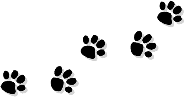 Blue Clues Coloring Pages - Cat Paw Print Clip Art Transparent Background (770x513)