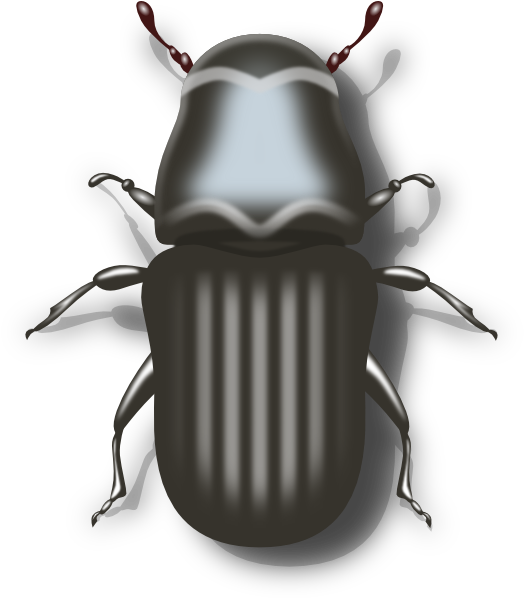 Clip Art At Clker Com Vector Online - Mountain Pine Beetle Png (534x597)