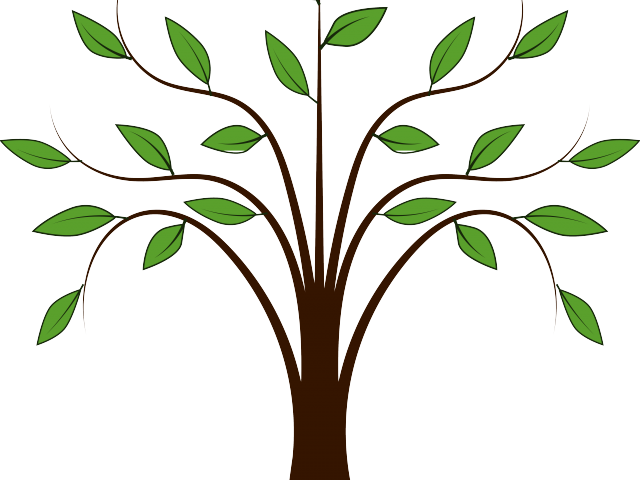 Roots Clipart Animated Tree - Tree With Leaf Clipart (640x480)