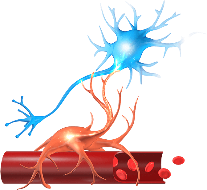 Graphic Collection Of Free Cognation Concussion Download - National Visa Center (720x720)