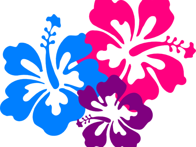 Hawaii Clipart Hawaiian Party - Hawaiian Flower Clipart Png (640x480)