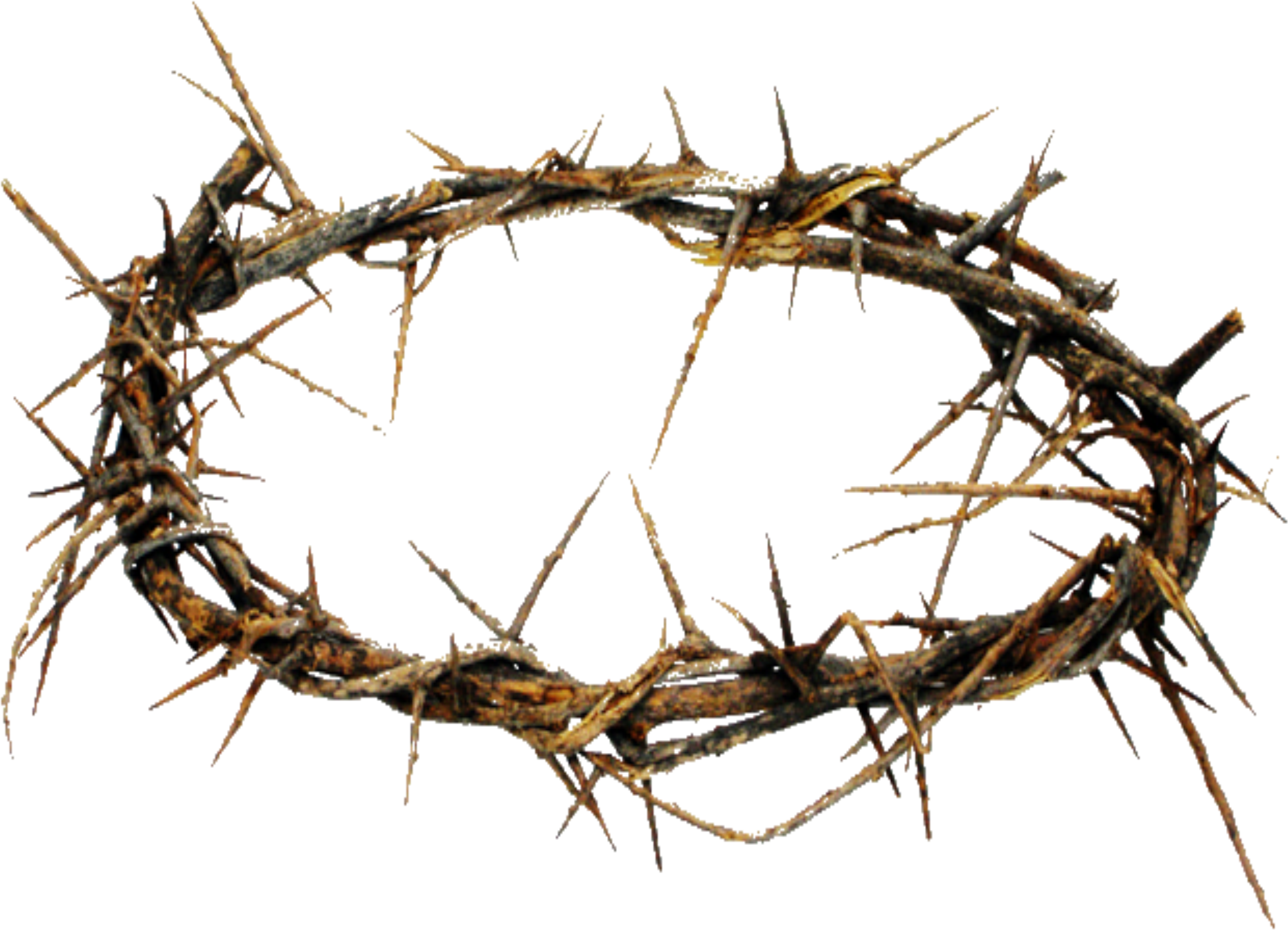 Crown Of Thorns Png Hd Transparent Crown Of Thorns - Story Of His Love - Cd (2942x2171)