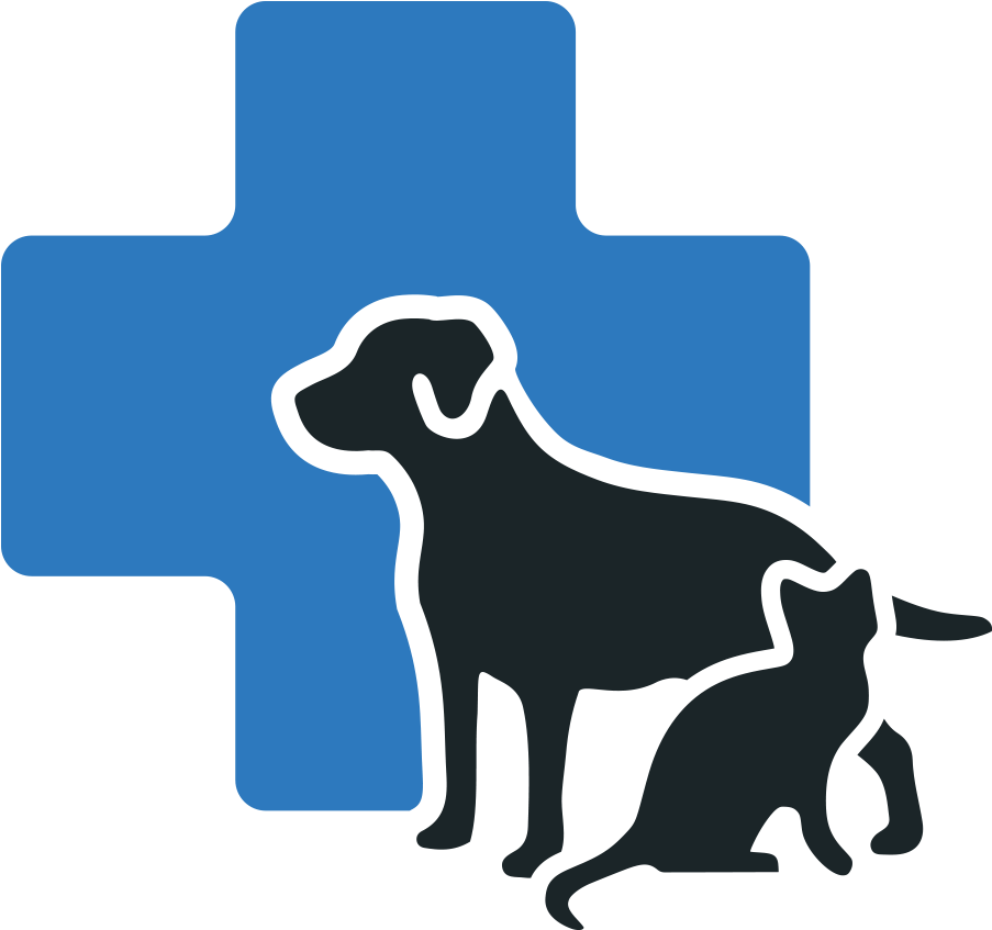 Dentist Clipart Dental Radiology - Cat Silhouette (1000x1000)