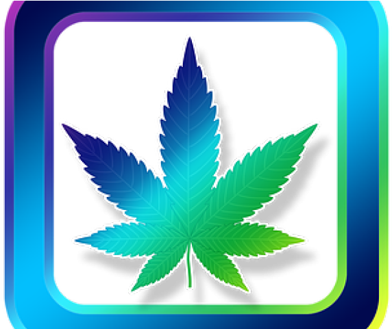 Weed Clipart Medicine - Cannabis Leaf Silhouette Png (640x480)
