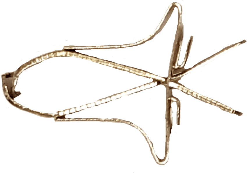 Marine Invertebrates (2048x2048)