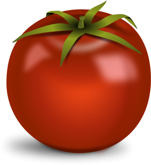 Tomato Clipart - Tomato Clipart (576x600)