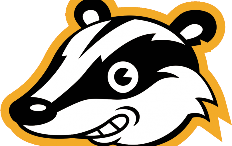 Privacy Badger Png (825x510)