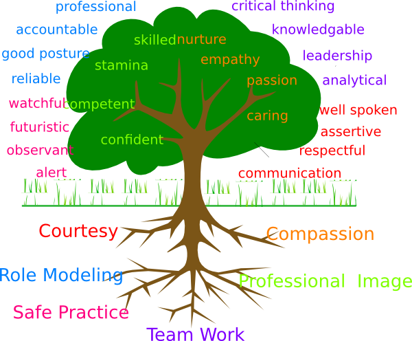 Parts Of The Tree Png (600x496)