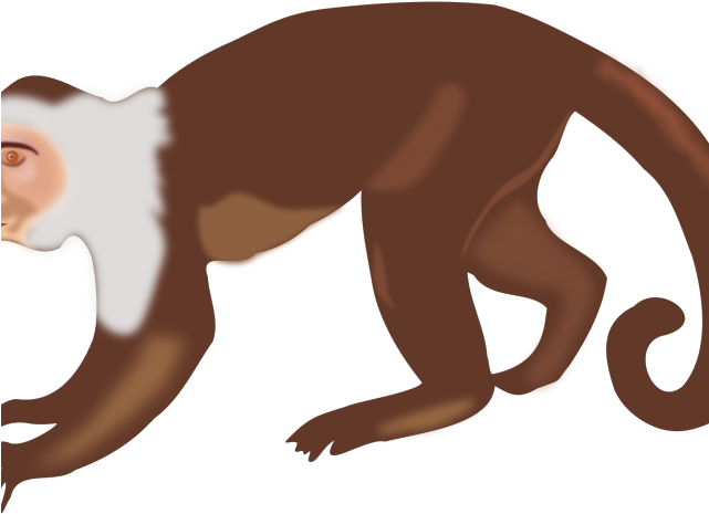 Chimpanzee Clipart Cute - Real Monkey Clipart (640x480)