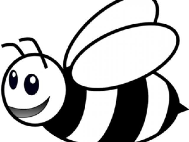 Simple Honey Bee Drawing (640x480)