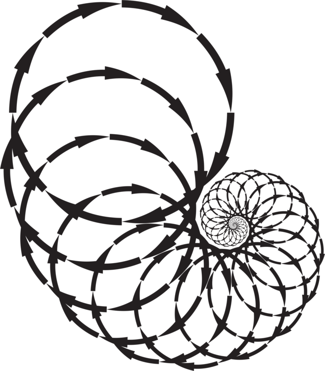 Cyclone Plants Line Art Symmetry Flower - Clip Art (657x750)