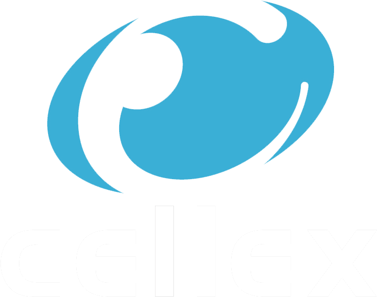 Transparent Library Plan Clipart Test Plan - Plan (747x589)