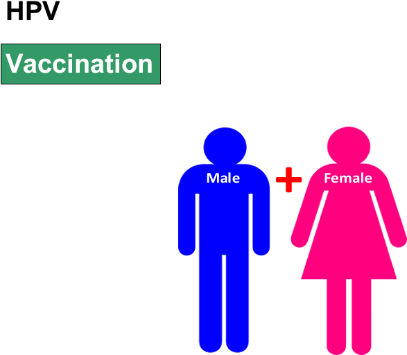 Hpv Vaccination - Sex Education Clip Art (620x620)