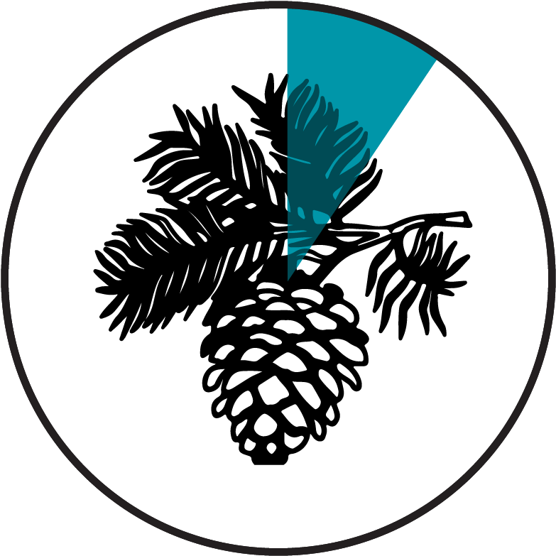 A-pinene - Clip Art (900x900)