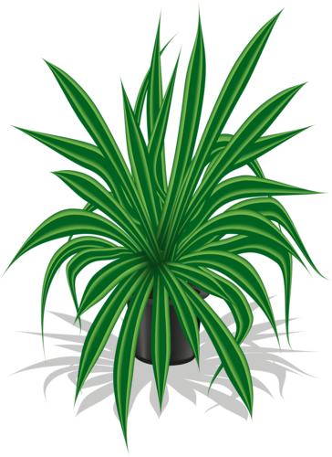 Garden Clipart, Art Furniture, Tree Branches, Vector - Vector Graphics (364x500)