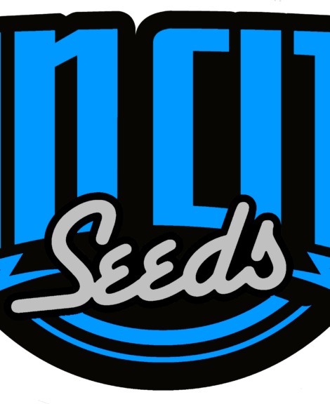 Sin City Skunk Limited Edition Regular Seeds - Seed (470x576)