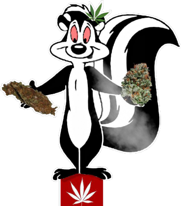Bluza Skunks - ) - Pepe Le Pew Hello Baby (369x420)