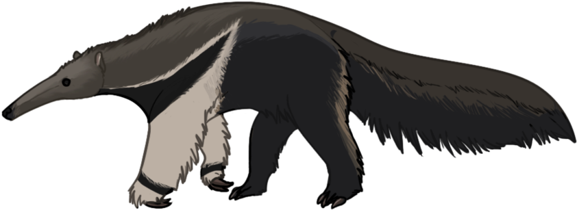 Child Standing Clipart - Giant Anteater Clipart (900x630)