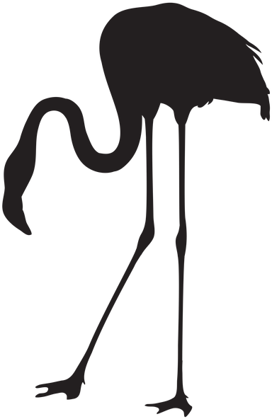 Clipart Download Wallpaper Full Wallpapers Black And - Clip Art Png Flamingo Clipart (393x599)