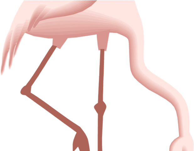 Flamingo Clipart Pretty In Pink - Bird (640x480)