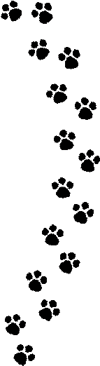 Dog Cat Footprints Transprent Png Free - Love My Corgi Sticker (rectangle) (546x602)