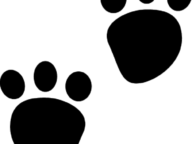 Paw Clipart Pet - Paw (640x480)