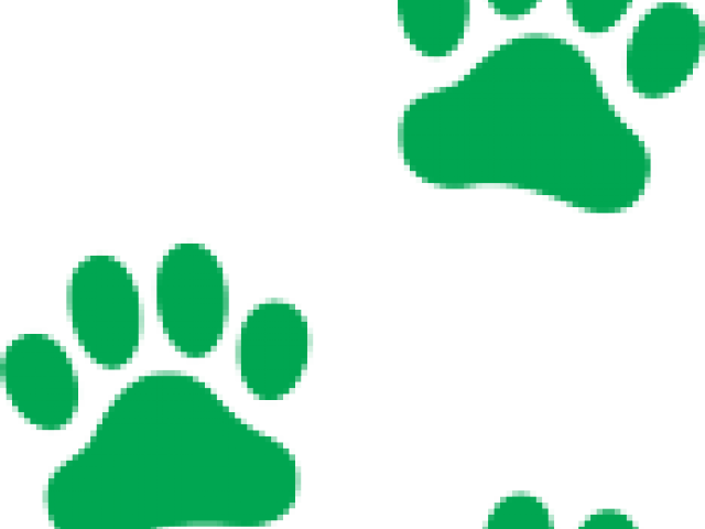 Puppy Clipart Paw Print - Dog Paw Print Orange (640x480)