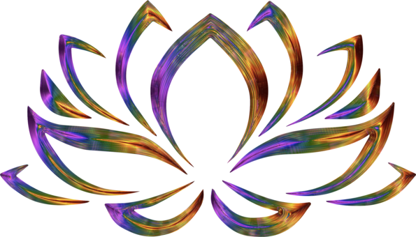Sacred Lotus Drawing Flower Black And White - Sacred Lotus Drawing Flower Black And White (595x340)