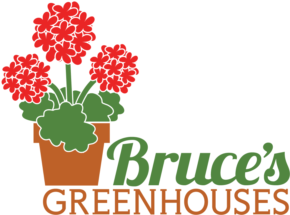 Bruce's Greenhouses - South Carolina (1000x800)