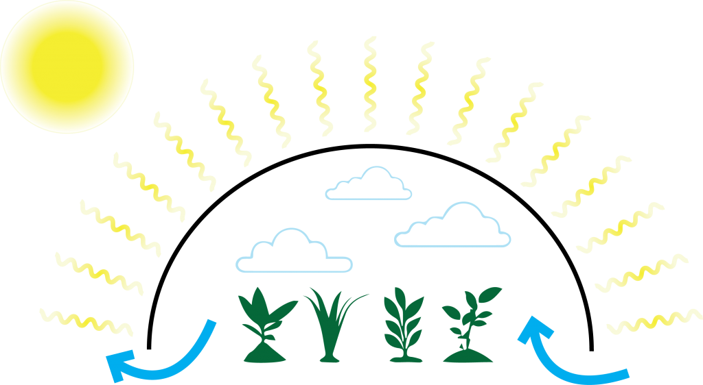 Greenhouse Graphic - Greenhouse (1024x562)