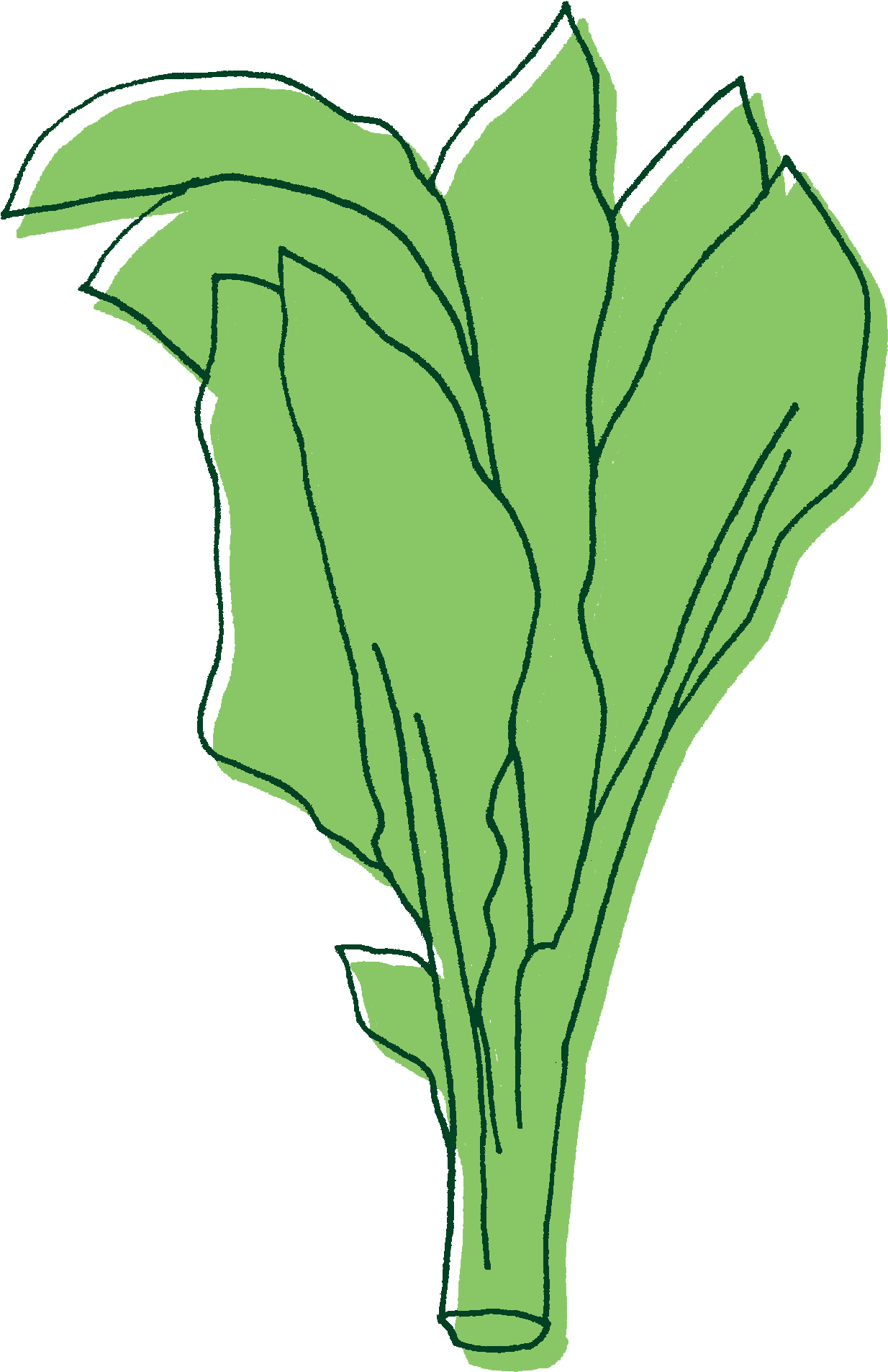 Scrambled Eggs With A Soft Cheese Swirled In There, - Chard (1283x1964)