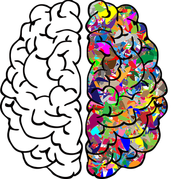 Human Intelligence Vs - Brain Background For Powerpoint (344x360)