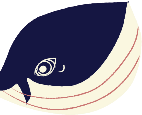 Id Investigation Found Out That The Naval Shipwrecks - Killer Whale (498x404)