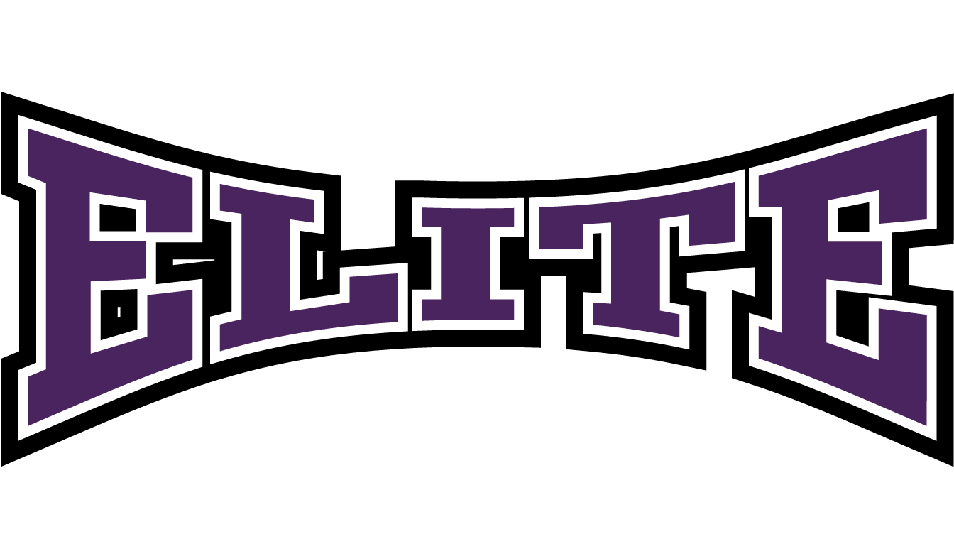 Nebraska Elite Volleyball Logo (1500x824)