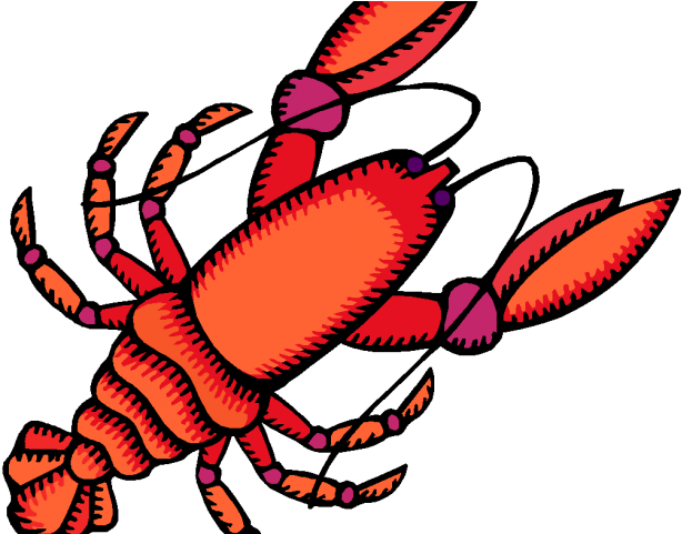 Crayfish Clipart Yabbie - Red Swamp Crayfish Range (640x480)