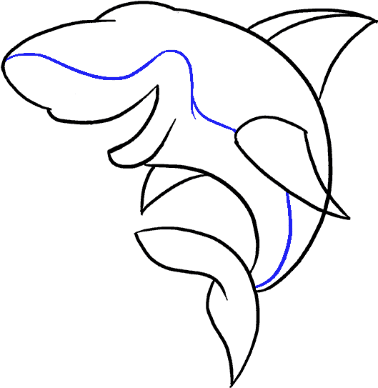 Dolphin Drawing Step By At Getdrawings Com - Drawing (678x600)