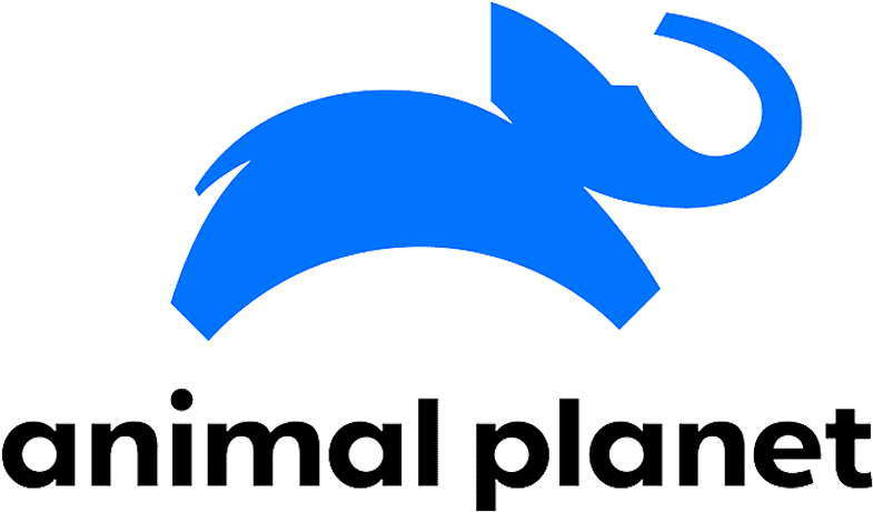Available Networks - Animal Planet Logo 2018 (800x500)