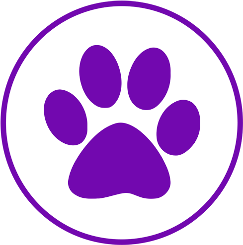 Pet Urine Removal - Keep Calm And Love Portuguese Water Dogs (500x499)