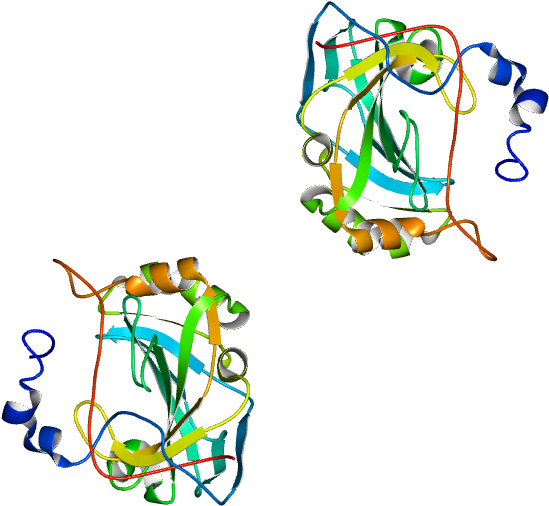 Molmil Generated Image Of 1fsn - Molmil Generated Image Of 1fsn (768x768)